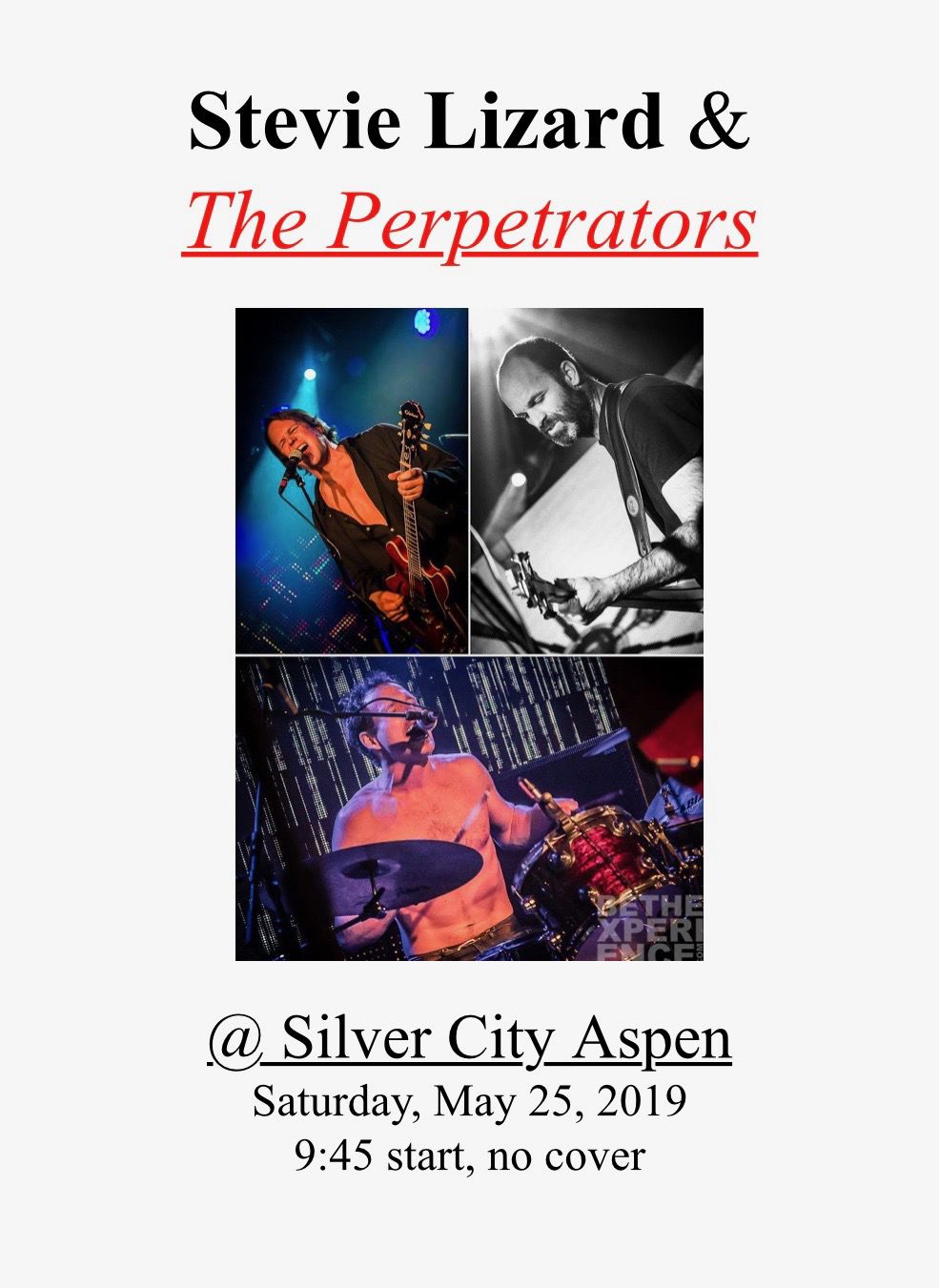 Stevie Lizard & The Perpetrators